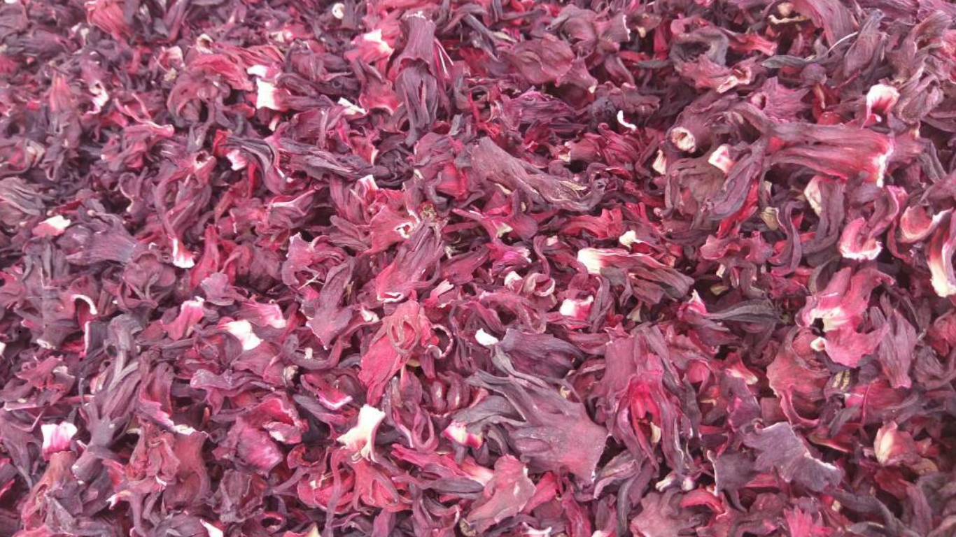 Hibiscus Flower Hibiscus Flower