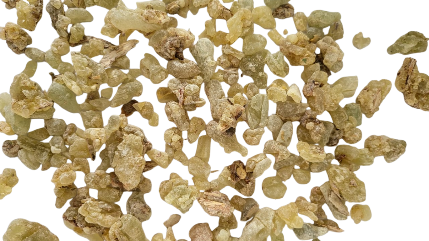 Gum Lumban Gum Lumban